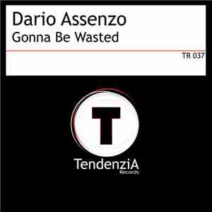 Dario Assenzo Feat. The Screaming Room - Gonna Be Wasted FLAC download