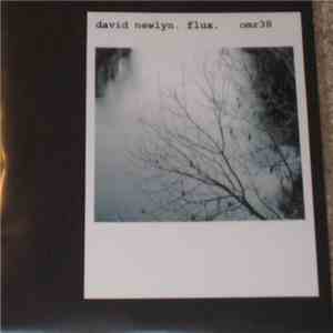 David Newlyn - Flux flac download