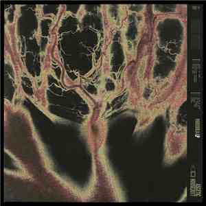 Somali Extract - Pareidolia flac download