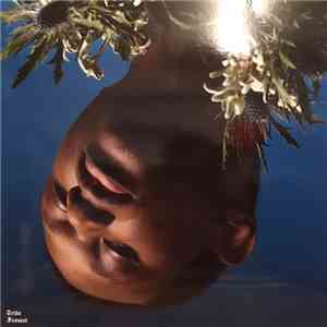 Tribe Frowst - Tribe Frowst flac download