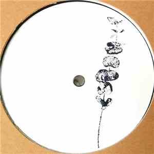 Will Gates - TBS EP flac download