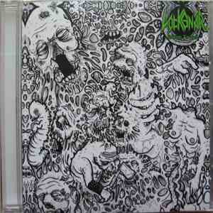 Lockgnar - Hessian Assault flac download