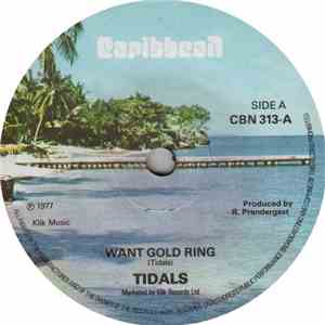 Tidals - Want Gold Ring flac download