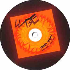 WBE - The Care In The Community (Remix) flac download