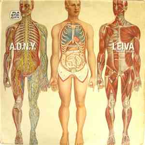 A.D.N.Y. Presents Leiva - The Way Eye See flac download