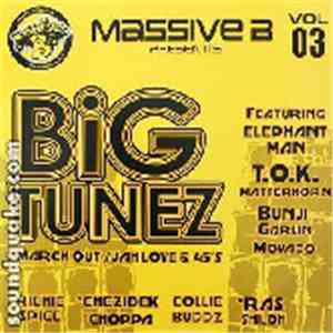 Various - Big Tunez Vol 3 flac download
