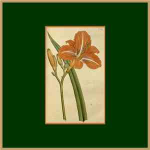 C. Worth - 9 August flac download