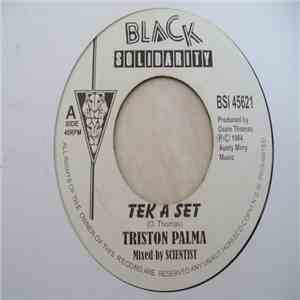 Triston Palma - Tek A Set flac download