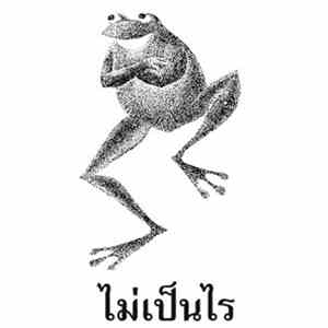 Unknown Artist - ไม่เป็นไร - Mai Pen Rai flac download