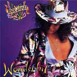 Rick James - Wonderful flac download