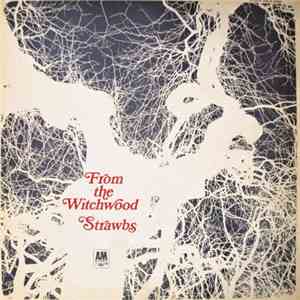 Strawbs - From The Witchwood flac download