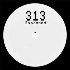 313  - 313 Deluxe Edition flac download