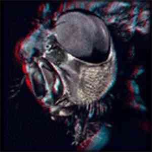 Humanfly - A God Among Insects flac download