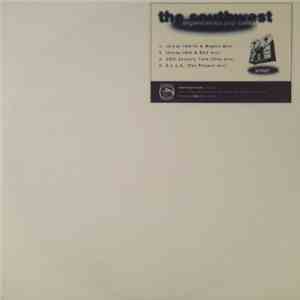 Southwest Experimental Pop Band, The - Skinny flac download