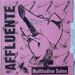 Affluente - Moltitudine Suina flac download