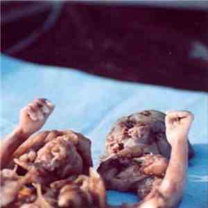 Cucks - Abortion EP flac download