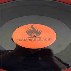 Flammable Acid - Burry That Treasure flac download