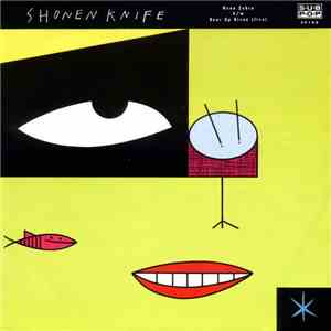 Shonen Knife - Neon Zebra b/w Bear Up Bison (Live) flac download