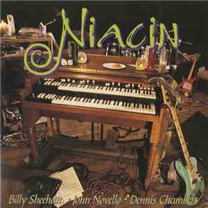 Niacin − Billy Sheehan • John Novello • Dennis Chambers - Niacin flac download