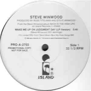 Steve Winwood - Wake Me Up On Judgment Day flac download