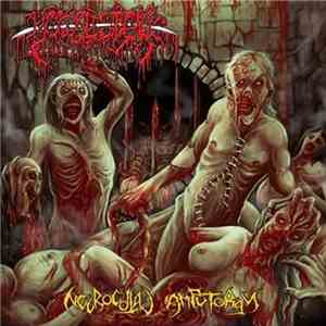 Bowel Stew - Necrocoital Amputorgy flac download