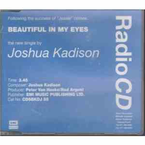 Joshua Kadison - Beautiful In My Eyes flac download