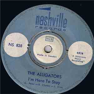 The Alligators - I'm Here To Stay flac download