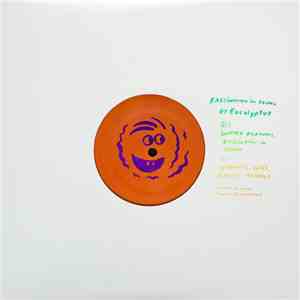 Eucalyptus - Fascination In Sound flac download