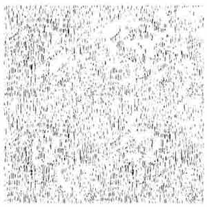 Pacifica  - Blaze flac download