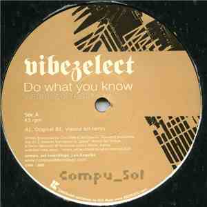 Vibezelect - Do What You Know flac download