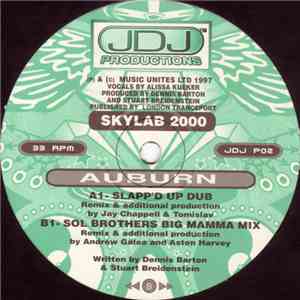Skylab 2000 - Auburn flac download