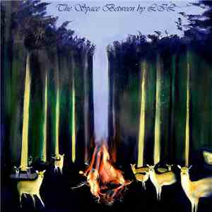 LIL - The Space Between flac download