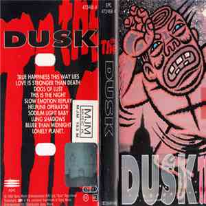 The The - Dusk flac download