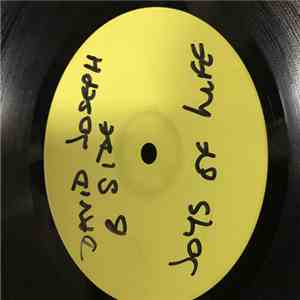 David Joseph - The Joys Of Life B Side flac download