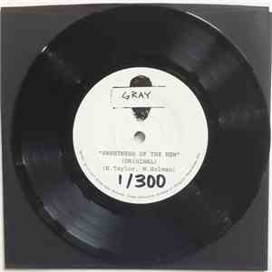 Gray  - Sweetness Of The New flac download