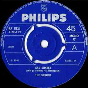 The Spiders  - Sad Sunset flac download