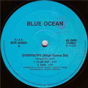 Blue Ocean  - Everybody (What Gonna Do) flac download