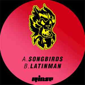 Courage  - Songbirds flac download