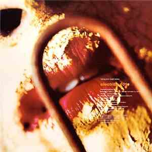 Electribe 101 - Talking With Myself (Remix) flac download