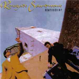 Renegade Soundwave - Howyoudoin? flac download