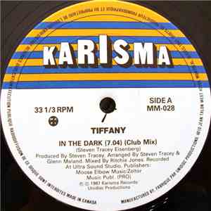 Tiffany  - In The Dark flac download