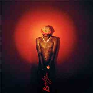 Young Thug  - Barter 6 flac download