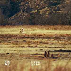 Deneha - Both Wayz flac download