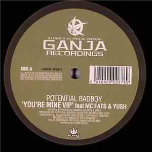 Potential Bad Boy - You're Mine VIP flac download