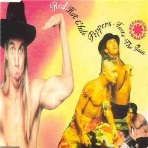 Red Hot Chili Peppers - Taste The Pain flac download