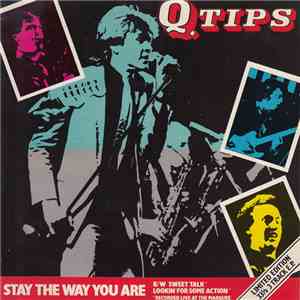 Q-Tips - Stay The Way You Are flac download