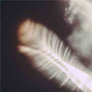 Ownsi Lense - I'll Soon Be Among You flac download