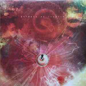 Animals As Leaders - The Joy Of Motion flac download