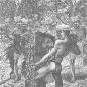 Nu Guinea - World EP flac download