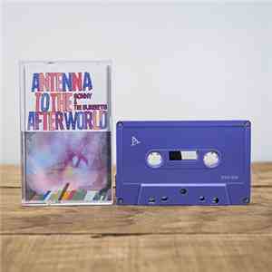Sonny & The Sunsets - Antenna To The Afterworld flac download